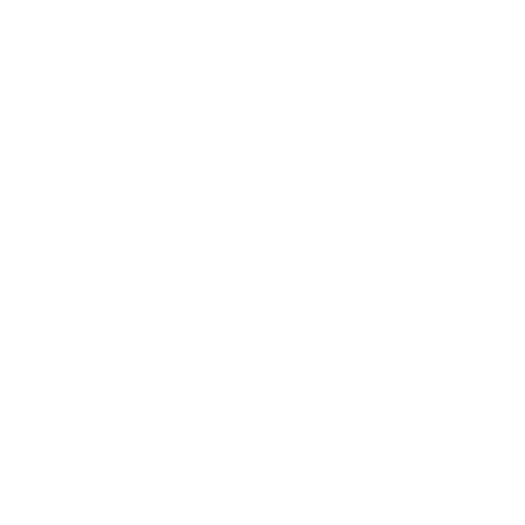 LOGO BANRISUL BRANCA PNG