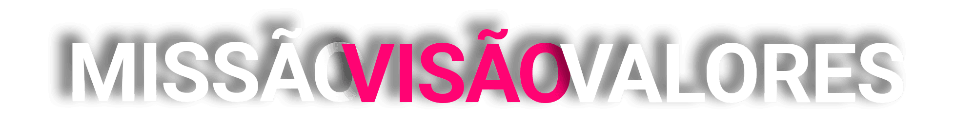 MISSÃO_VISÃO_VALORES