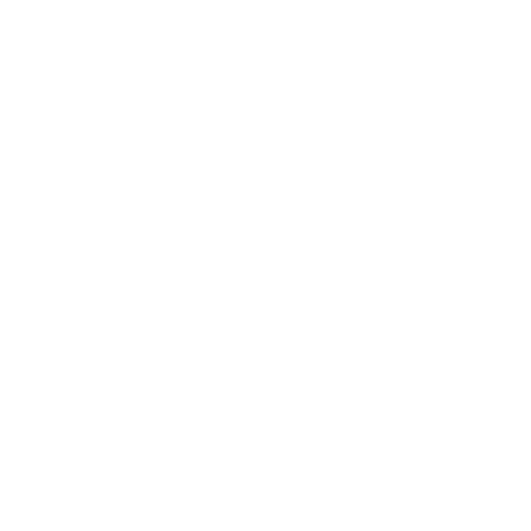 LOGO PAYPEOPLE BRANCA PNG